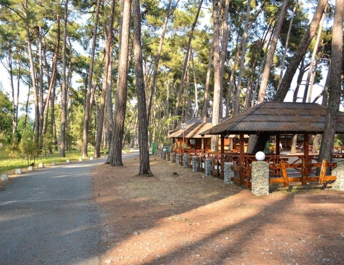 Отель «Абаза» Лдзаа