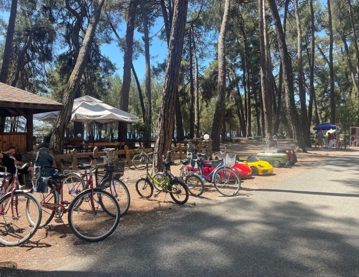 Услуги и развлечения - Отель «Абаза» Лдзаа